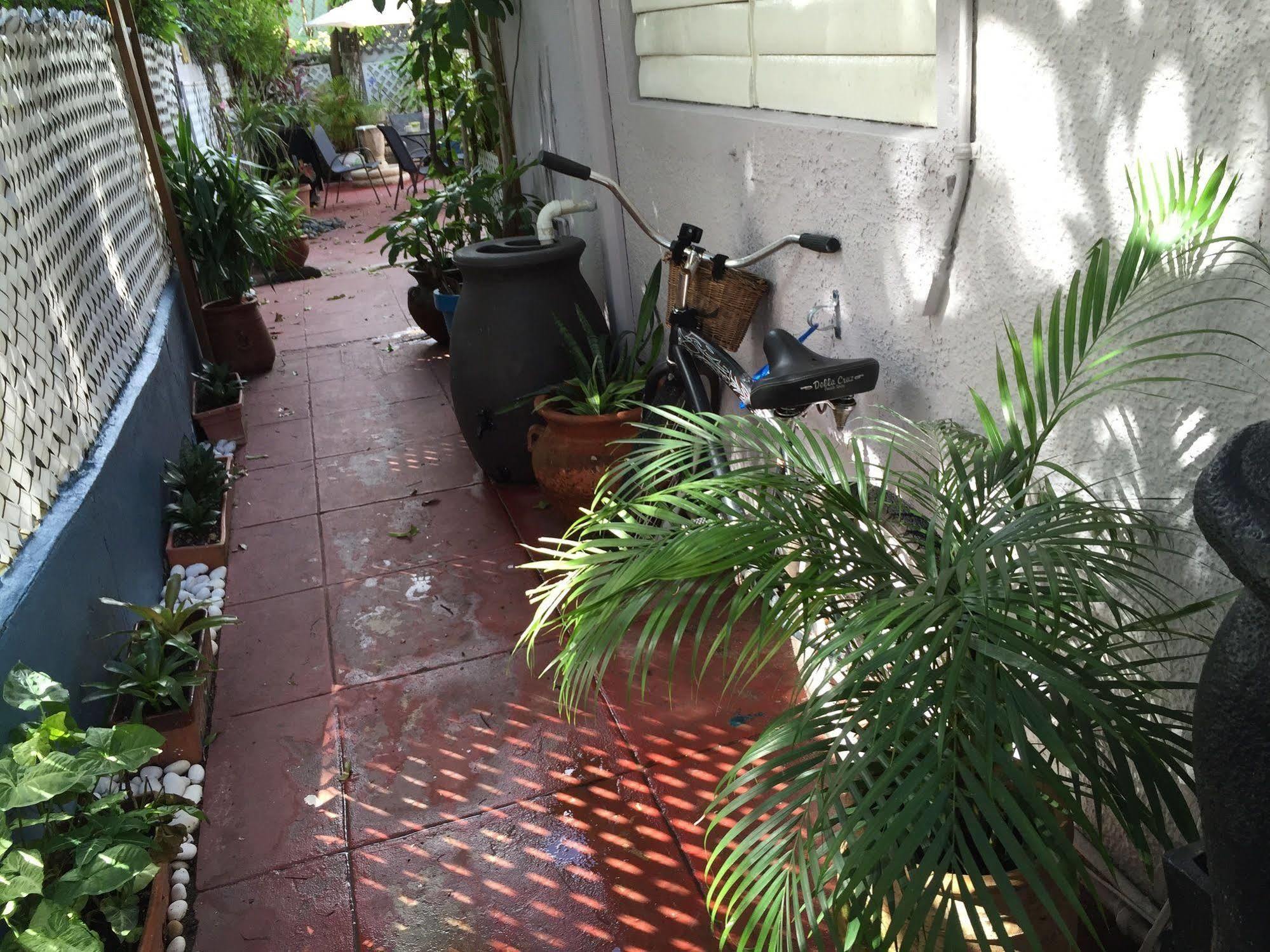 Lower Price, More Style, Discount Studio In San Juan,Pr, Beach, Free Bikes (Adults Only) Eksteriør bilde